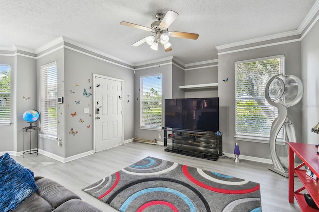 10442 Villa View Cir, Tampa, FL 33647 - living area featuring ceiling fan, plenty of natural light, and wood finished floors