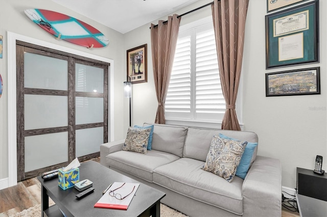 12304 Freesia Ct, Riverview, FL 33569 - living room featuring wood finished floors