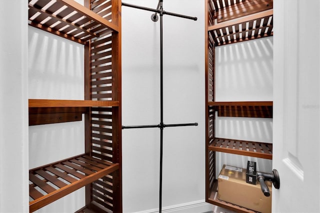 12304 Freesia Ct, Riverview, FL 33569 - view of wine cellar