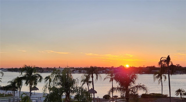 6021 Bahia Del Mar Cir Unit 534, Saint Petersburg, FL 33715 - photo 5