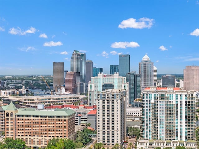 1002 S Harbour Island Blvd Unit 1312, Tampa, FL 33602 - property's view of city