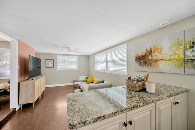 5367 5th Ave N, Saint Petersburg, FL 33710 - kitchen featuring white cabinetry, baseboards, dark wood finished floors, light stone counters, and a ceiling fan