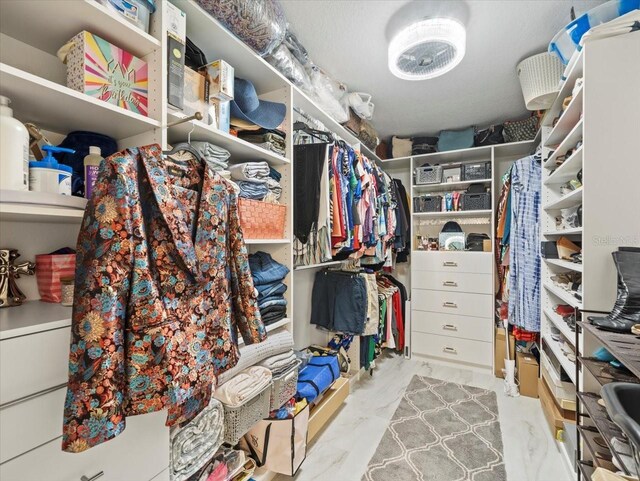 9617 Branching Ship Trce, Wesley Chapel, FL 33545 - view of spacious closet