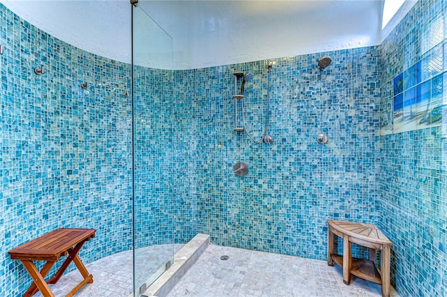 14119 Stonegate Dr, Tampa, FL 33624 - full bath with tile walls and a walk in shower