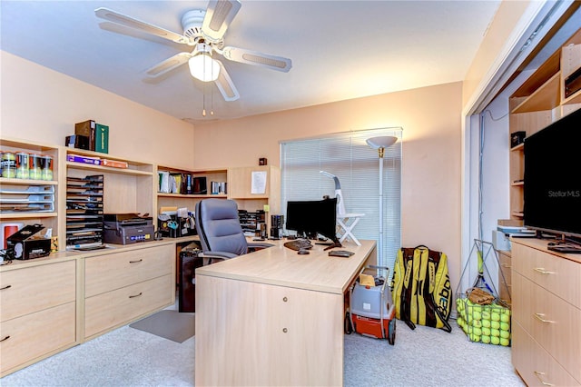 14119 Stonegate Dr, Tampa, FL 33624 - home office featuring light colored carpet and ceiling fan
