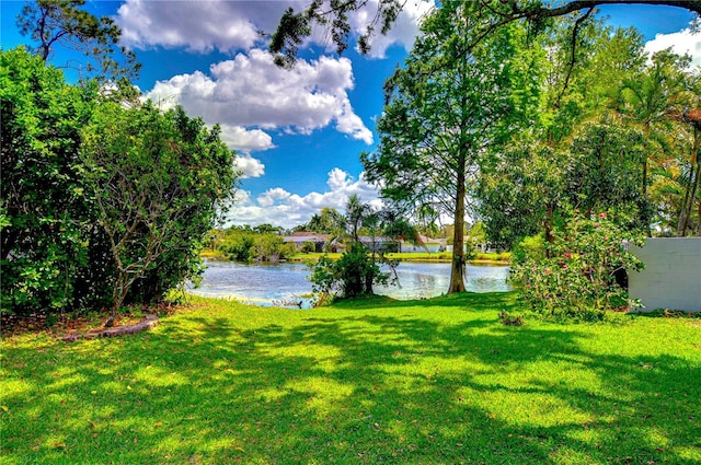 14119 Stonegate Dr, Tampa, FL 33624 - view of water feature