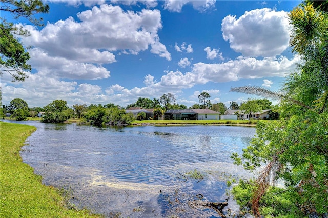 14119 Stonegate Dr, Tampa, FL 33624 - property view of water