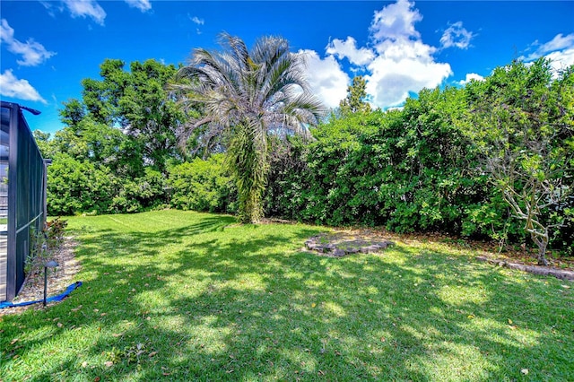 14119 Stonegate Dr, Tampa, FL 33624 - view of yard with glass enclosure