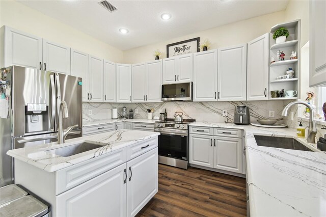 13310 Waterford Run Dr, Riverview, FL 33569 - kitchen with stainless steel appliances, dark wood-style floors, light stone countertops, a kitchen island, and white cabinets