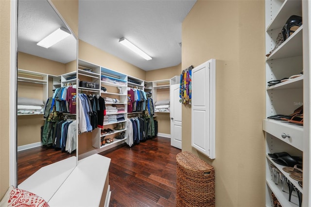 walk in closet with dark wood-style flooring