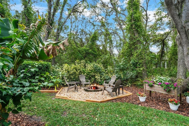 view of yard with a fire pit