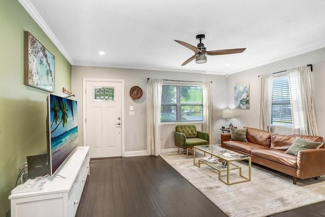 2001 E Idlewild Ave, Tampa, FL 33610 - living room with dark wood finished floors, crown molding, ceiling fan, and a healthy amount of sunlight