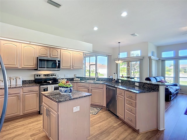 3625 Gaviota Dr, Ruskin, FL 33573 - kitchen with stainless steel appliances, a peninsula, a sink, light wood-type flooring, and visible vents