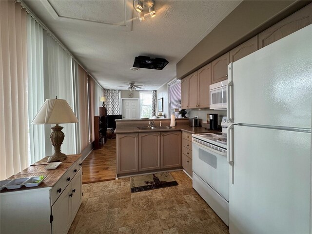 35207 Condominium Blvd Lot 52, Zephyrhills, FL 33541