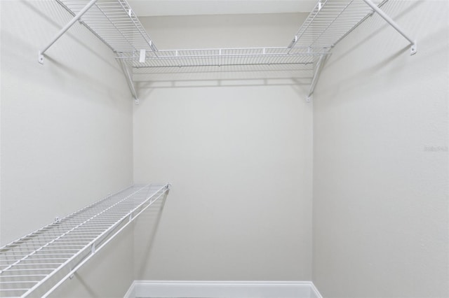 1203 16th Cir SE, Largo, FL 33771 - view of walk in closet