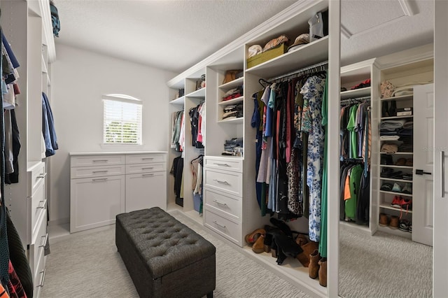 walk in closet featuring attic access and light carpet
