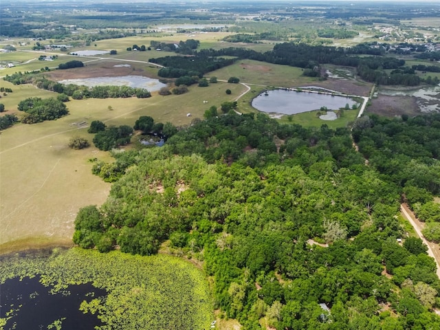 4798 Indigo Rd, Groveland, FL 34736 - photo 48