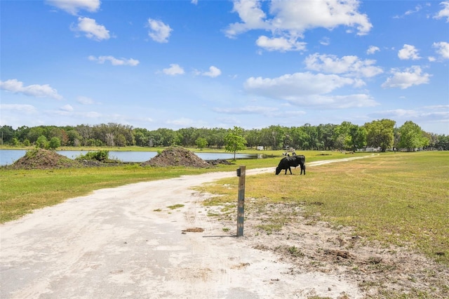 4798 Indigo Rd, Groveland, FL 34736 - photo 53