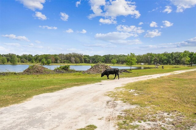 4798 Indigo Rd, Groveland, FL 34736 - photo 54