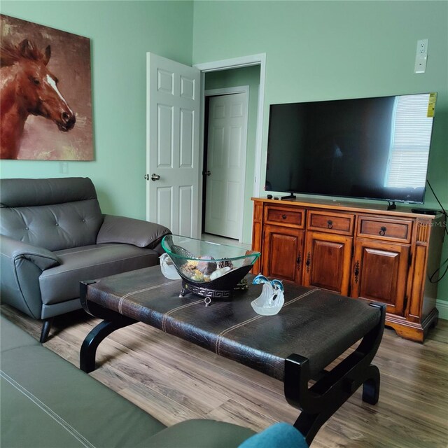 6690 54th Ave N, Saint Petersburg, FL 33709 - living area with dark wood-style floors