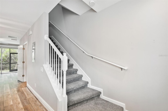 10407 Westpark Preserve Blvd, Tampa, FL 33625 - stairs featuring wood finished floors and baseboards