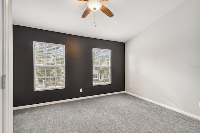 10407 Westpark Preserve Blvd, Tampa, FL 33625 - unfurnished room featuring carpet floors, healthy amount of natural light, a ceiling fan, and baseboards