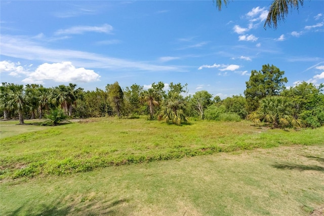 814 Manns Harbor Dr, Apollo Beach, FL 33572 - view of local wilderness
