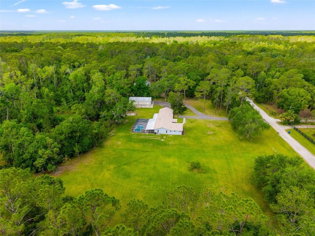 28628 Bennington Dr, Wesley Chapel, FL 33544 - photo 50