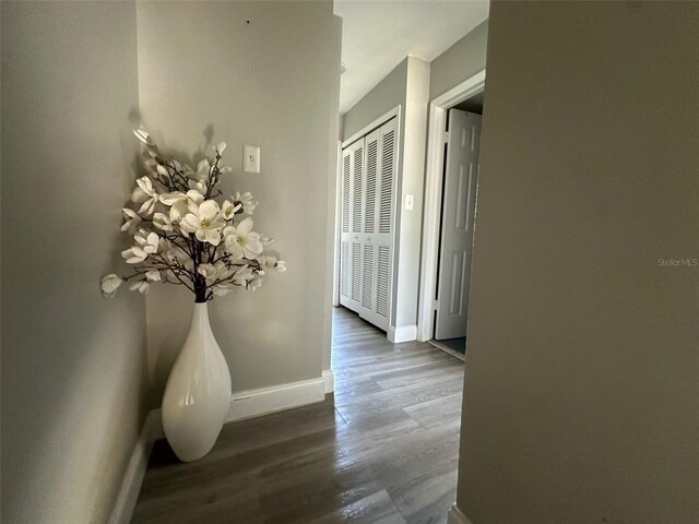 hall featuring baseboards and wood finished floors