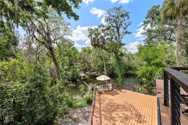 4701 Rambling River Rd, Brandon, FL 33511 - photo 24