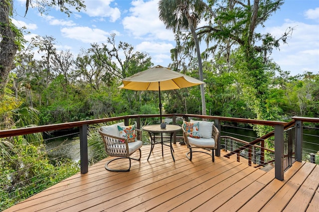 4701 Rambling River Rd, Brandon, FL 33511 - photo 38