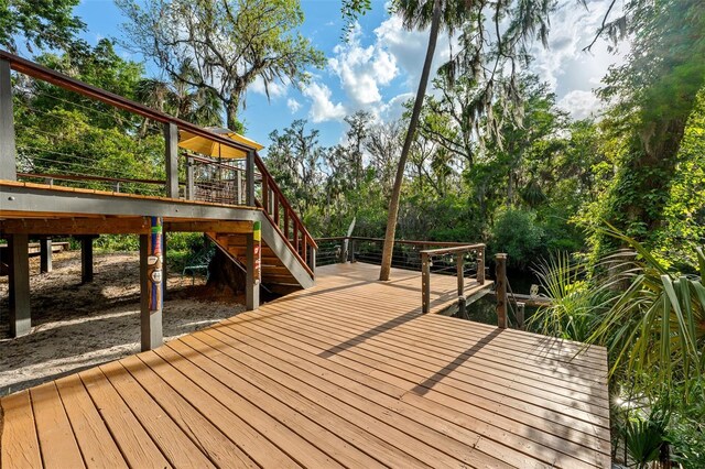 4701 Rambling River Rd, Brandon, FL 33511 - photo 39