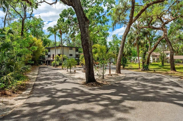 4701 Rambling River Rd, Brandon, FL 33511 - photo 45