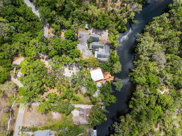 4701 Rambling River Rd, Brandon, FL 33511 - photo 47