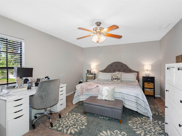 303 National Orange Ave, Oldsmar, FL 34677 - photo 20