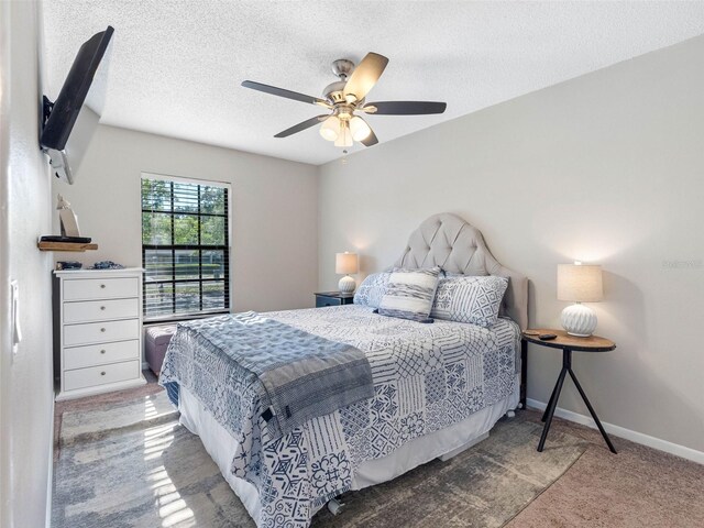 303 National Orange Ave, Oldsmar, FL 34677 - photo 25