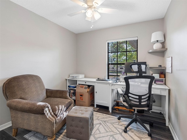 303 National Orange Ave, Oldsmar, FL 34677 - photo 28