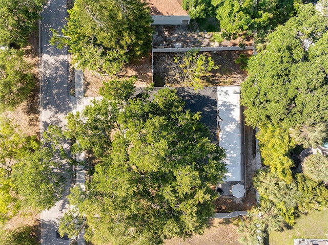 303 National Orange Ave, Oldsmar, FL 34677 - photo 43