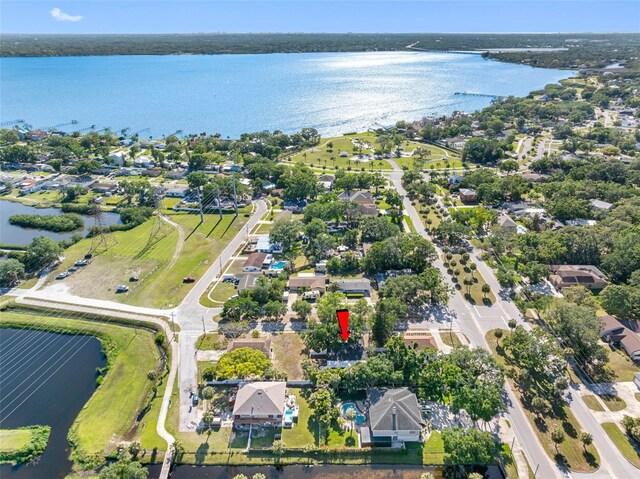 303 National Orange Ave, Oldsmar, FL 34677 - photo 47