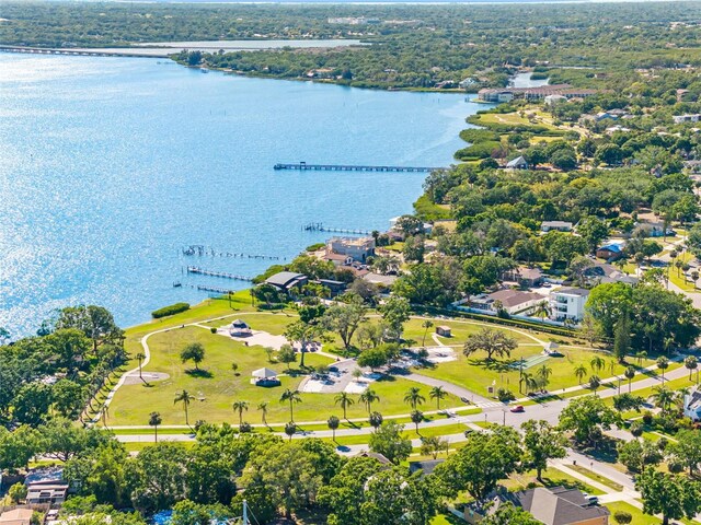 303 National Orange Ave, Oldsmar, FL 34677 - photo 49