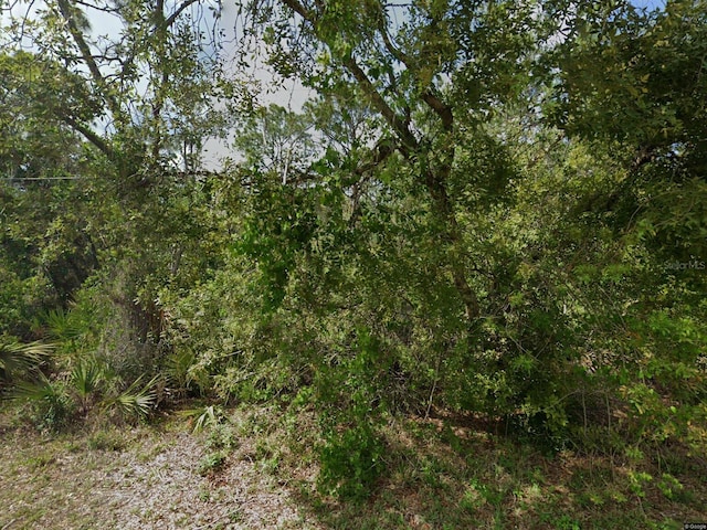 236 Eleanor Blvd, Lake Placid FL, 33852 land for sale