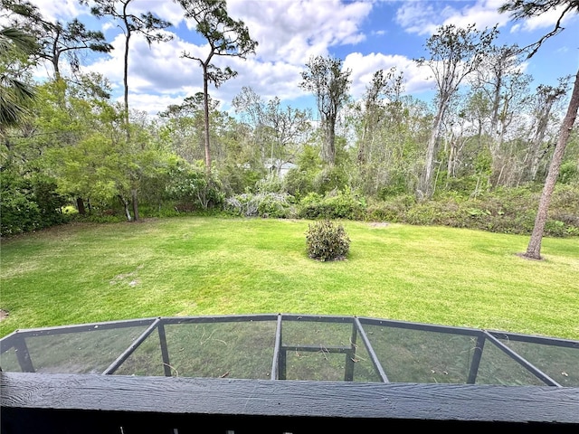 view of yard