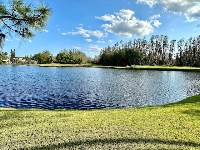 view of water feature