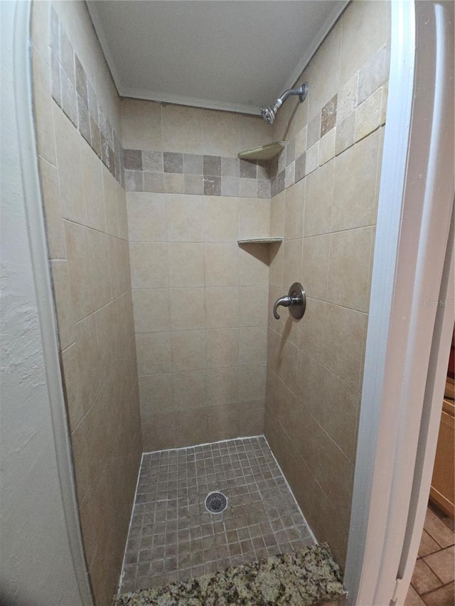 5130 Tilson Dr, New Port Richey, FL 34652 - bathroom with tiled shower