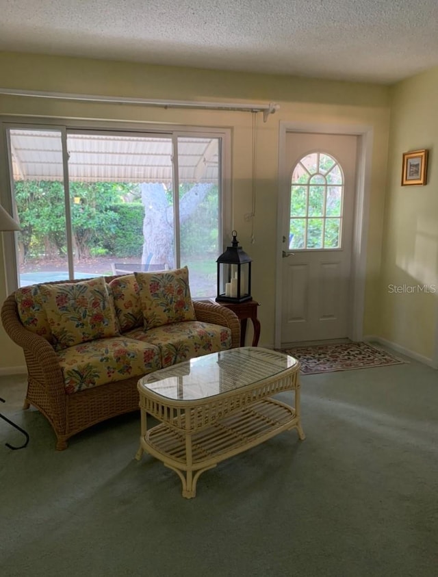 living room featuring baseboards, a textured ceiling, and carpet