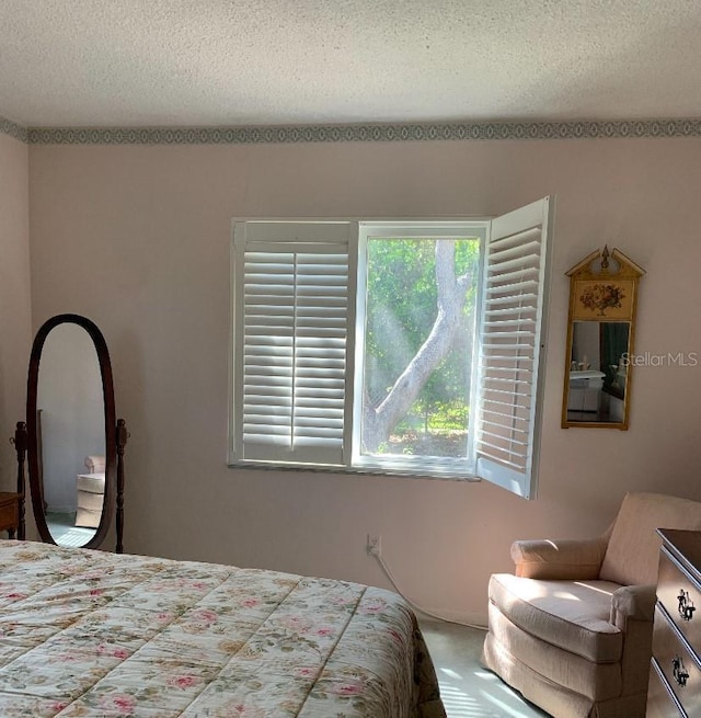 bedroom with a textured ceiling