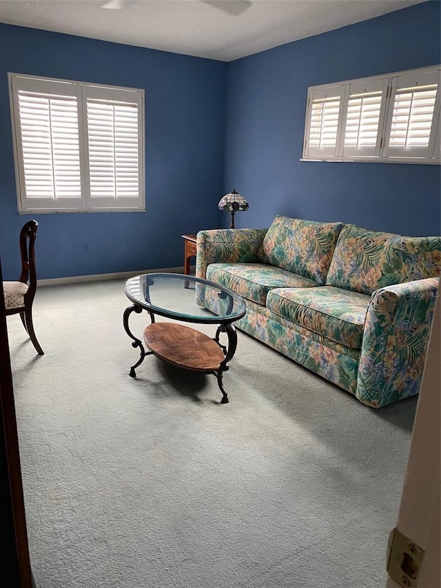 carpeted living area featuring baseboards
