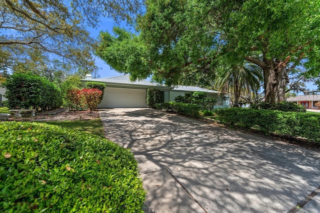 838 Park Ct, Palm Harbor, FL 34683 - view of front facade featuring an attached garage and driveway