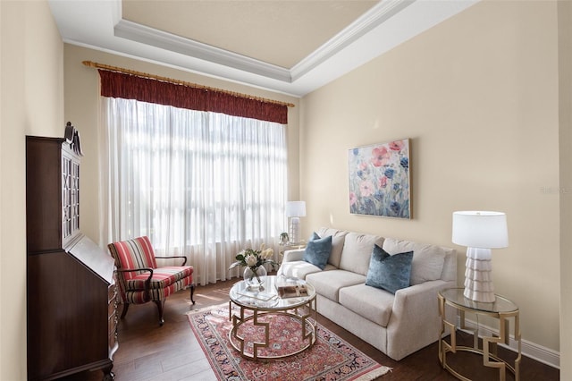 14817 Tudor Chase Dr, Tampa, FL 33626 - living area featuring wood finished floors, ornamental molding, and a tray ceiling