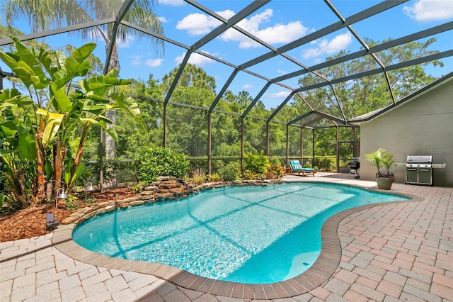 14817 Tudor Chase Dr, Tampa, FL 33626 - outdoor pool with a patio, area for grilling, and glass enclosure